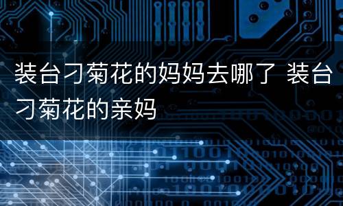 装台刁菊花的妈妈去哪了 装台刁菊花的亲妈