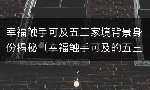 幸福触手可及五三家境背景身份揭秘（幸福触手可及的五三的真实身份）