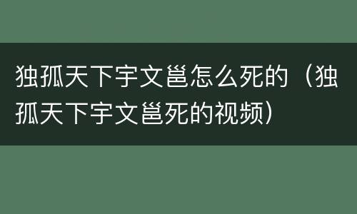 独孤天下宇文邕怎么死的（独孤天下宇文邕死的视频）