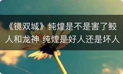 《镜双城》纯煌是不是害了鲛人和龙神 纯煌是好人还是坏人
