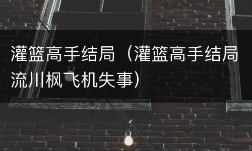 灌篮高手结局（灌篮高手结局流川枫飞机失事）
