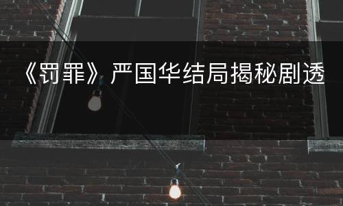 《罚罪》严国华结局揭秘剧透