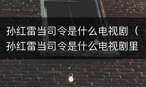 孙红雷当司令是什么电视剧（孙红雷当司令是什么电视剧里的）