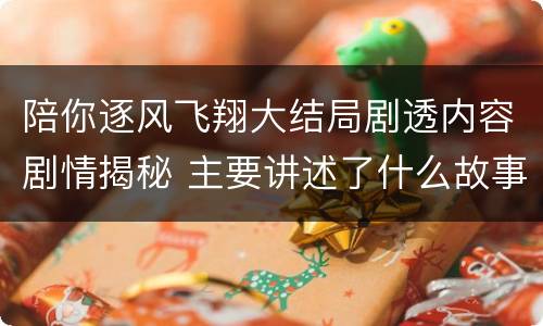 陪你逐风飞翔大结局剧透内容剧情揭秘 主要讲述了什么故事