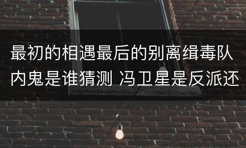 最初的相遇最后的别离缉毒队内鬼是谁猜测 冯卫星是反派还是正派