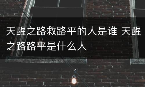 天醒之路救路平的人是谁 天醒之路路平是什么人