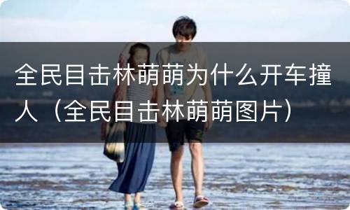 全民目击林萌萌为什么开车撞人（全民目击林萌萌图片）
