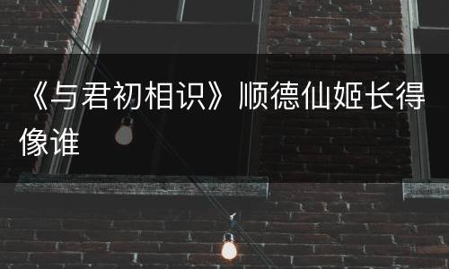 《与君初相识》顺德仙姬长得像谁