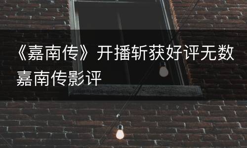《嘉南传》开播斩获好评无数 嘉南传影评