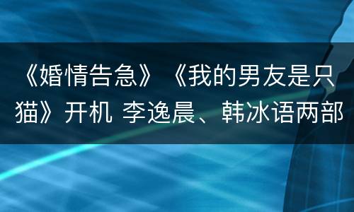 《婚情告急》《我的男友是只猫》开机 李逸晨、韩冰语两部连拍