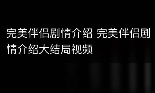 完美伴侣剧情介绍 完美伴侣剧情介绍大结局视频