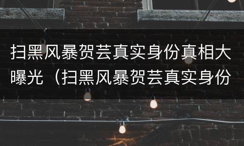 扫黑风暴贺芸真实身份真相大曝光（扫黑风暴贺芸真实身份真相大曝光是哪一集）