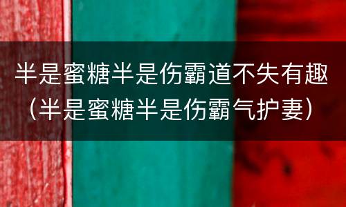 半是蜜糖半是伤霸道不失有趣（半是蜜糖半是伤霸气护妻）