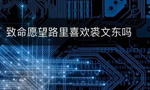 致命愿望路里喜欢裘文东吗