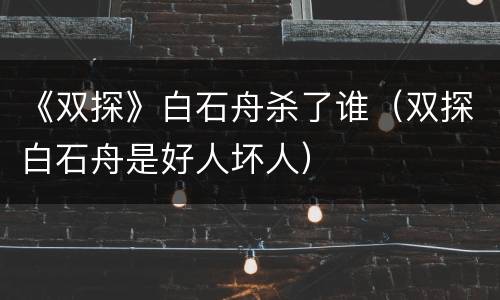 《双探》白石舟杀了谁（双探白石舟是好人坏人）