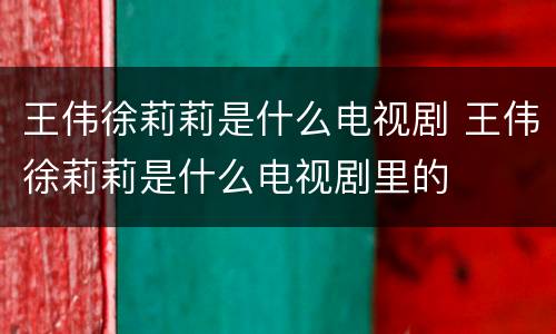 王伟徐莉莉是什么电视剧 王伟徐莉莉是什么电视剧里的
