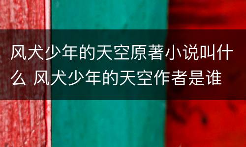 风犬少年的天空原著小说叫什么 风犬少年的天空作者是谁