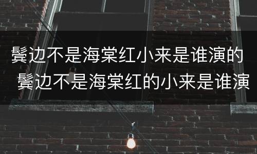 鬓边不是海棠红小来是谁演的 鬓边不是海棠红的小来是谁演的