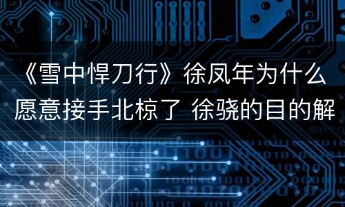 《雪中悍刀行》徐凤年为什么愿意接手北椋了 徐骁的目的解析