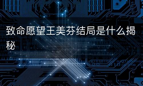 致命愿望王美芬结局是什么揭秘