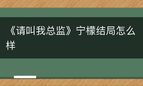 《请叫我总监》宁檬结局怎么样