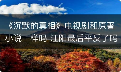 《沉默的真相》电视剧和原著小说一样吗 江阳最后平反了吗