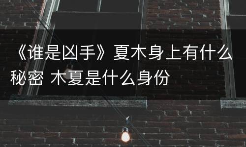 《谁是凶手》夏木身上有什么秘密 木夏是什么身份