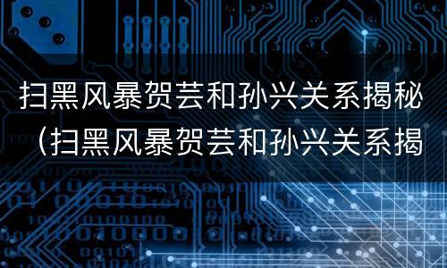 扫黑风暴贺芸和孙兴关系揭秘（扫黑风暴贺芸和孙兴关系揭秘视频）