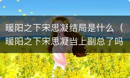暖阳之下宋思凝结局是什么（暖阳之下宋思凝当上副总了吗）