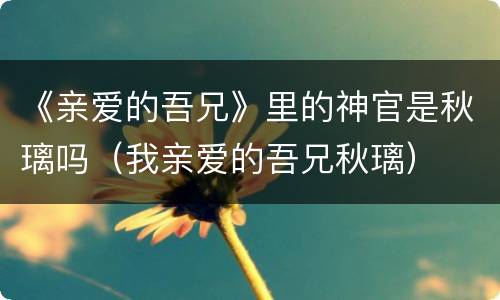《亲爱的吾兄》里的神官是秋璃吗（我亲爱的吾兄秋璃）