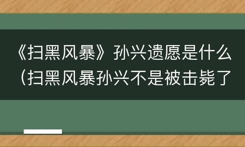 《扫黑风暴》孙兴遗愿是什么（扫黑风暴孙兴不是被击毙了嘛）