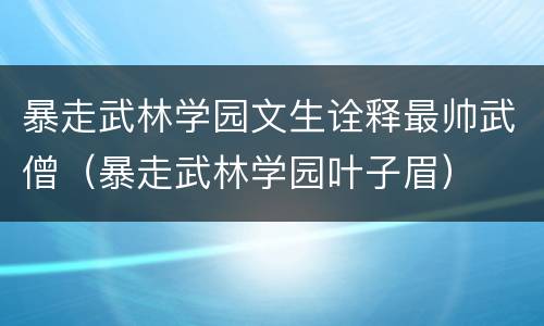 暴走武林学园文生诠释最帅武僧（暴走武林学园叶子眉）