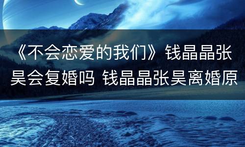 《不会恋爱的我们》钱晶晶张昊会复婚吗 钱晶晶张昊离婚原因