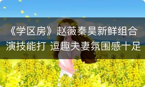 《学区房》赵薇秦昊新鲜组合演技能打 逗趣夫妻氛围感十足