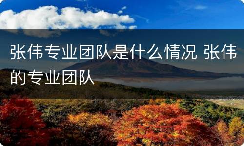 张伟专业团队是什么情况 张伟的专业团队