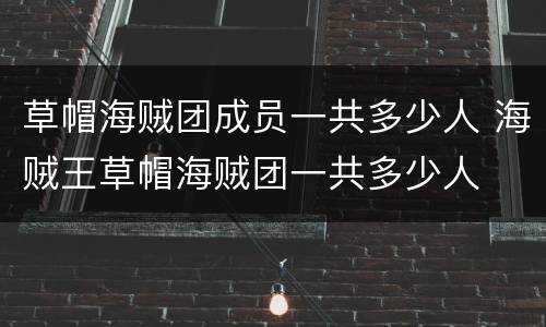 草帽海贼团成员一共多少人 海贼王草帽海贼团一共多少人