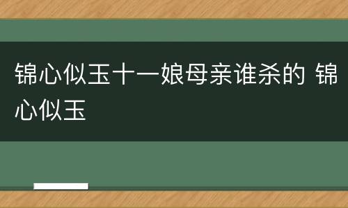 锦心似玉十一娘母亲谁杀的 锦心似玉