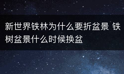 新世界铁林为什么要折盆景 铁树盆景什么时候换盆