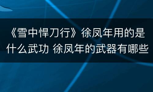 《雪中悍刀行》徐凤年用的是什么武功 徐凤年的武器有哪些