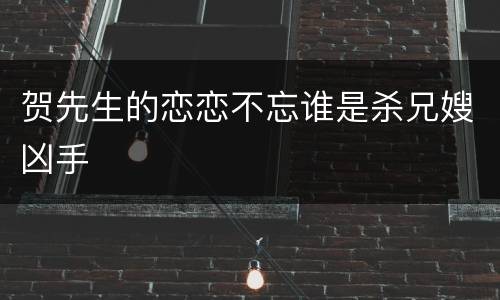 贺先生的恋恋不忘谁是杀兄嫂凶手