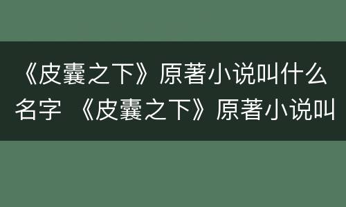 《皮囊之下》原著小说叫什么名字 《皮囊之下》原著小说叫什么名字