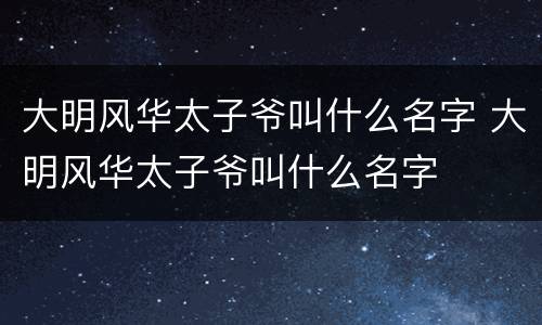 大明风华太子爷叫什么名字 大明风华太子爷叫什么名字