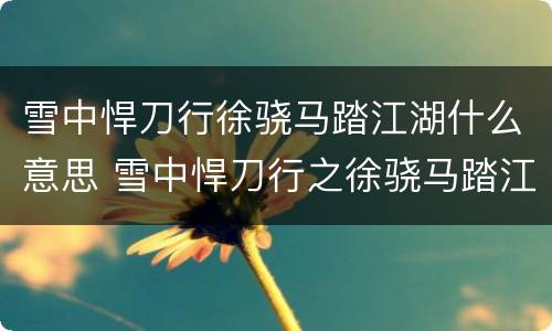 雪中悍刀行徐骁马踏江湖什么意思 雪中悍刀行之徐骁马踏江湖