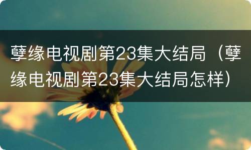 孽缘电视剧第23集大结局（孽缘电视剧第23集大结局怎样）
