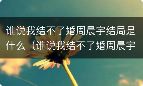 谁说我结不了婚周晨宇结局是什么（谁说我结不了婚周晨宇丁诗雅结局）