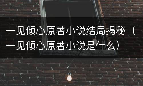 一见倾心原著小说结局揭秘（一见倾心原著小说是什么）