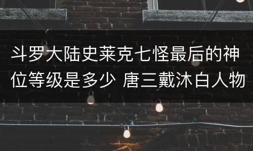 斗罗大陆史莱克七怪最后的神位等级是多少 唐三戴沐白人物简介