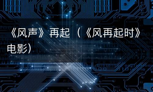 《风声》再起（《风再起时》电影）