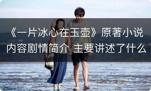 《一片冰心在玉壶》原著小说内容剧情简介 主要讲述了什么故事