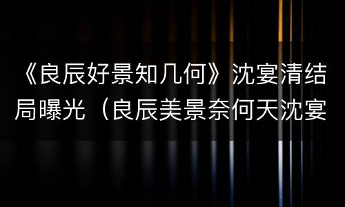 《良辰好景知几何》沈宴清结局曝光（良辰美景奈何天沈宴）